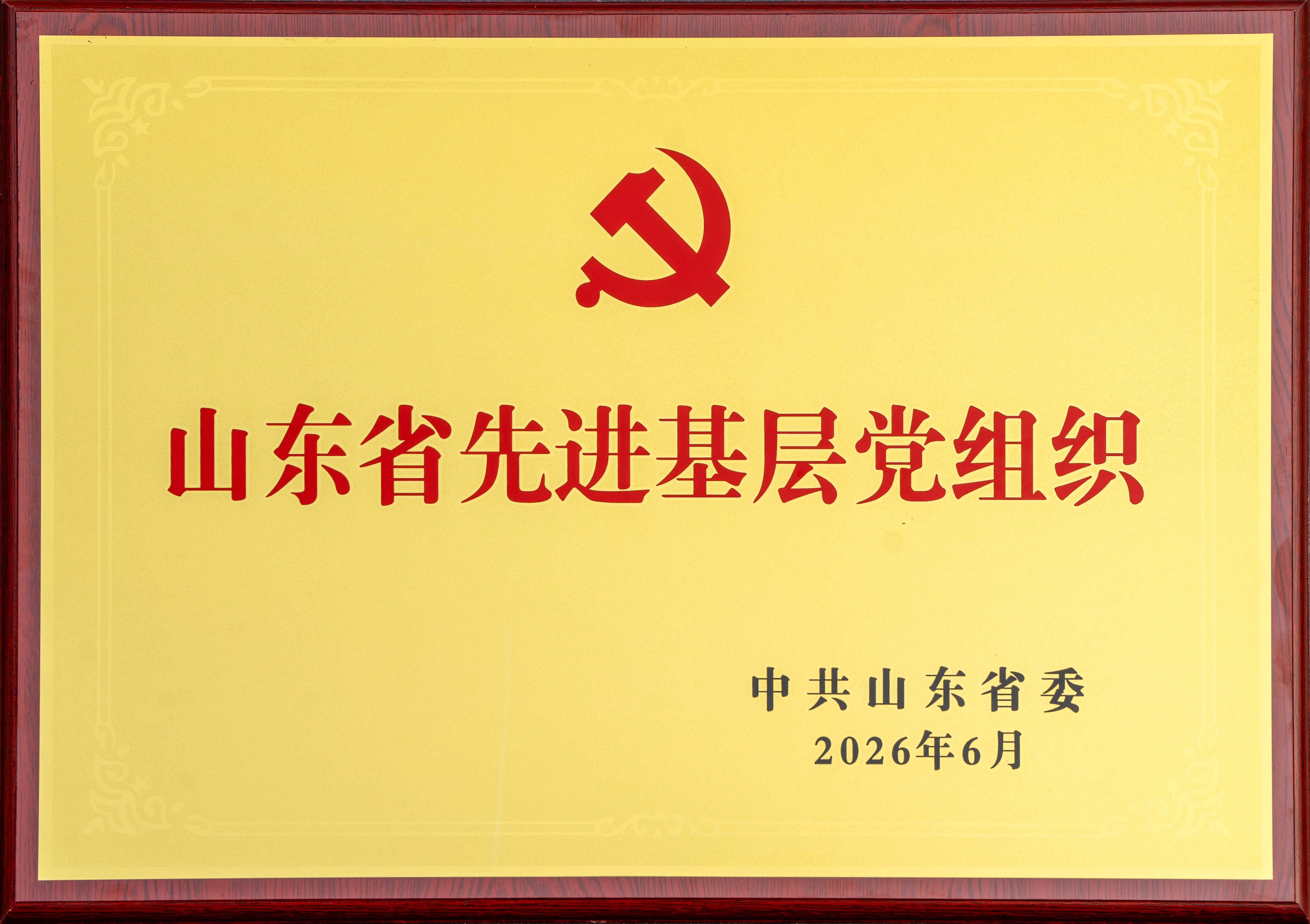 2026.6山东澳门正规电子游戏平台股份有限公司文化用纸事业部党支部荣获“山东省先进基层党组织”奖牌.jpg
